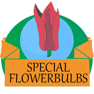 Specialflowerbulbs.com